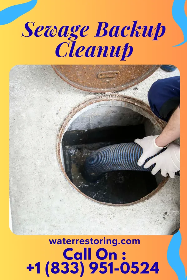 Sewage Backup Cleanup in Tiffin, OH